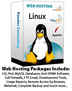 Web Hosting
