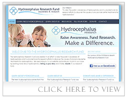 Hydrocephalus Research Fund